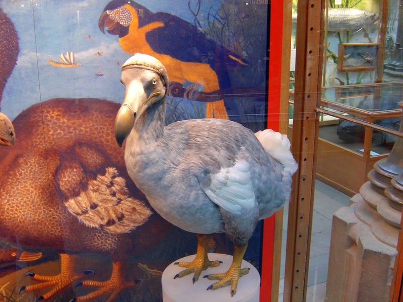 Science Exhibits